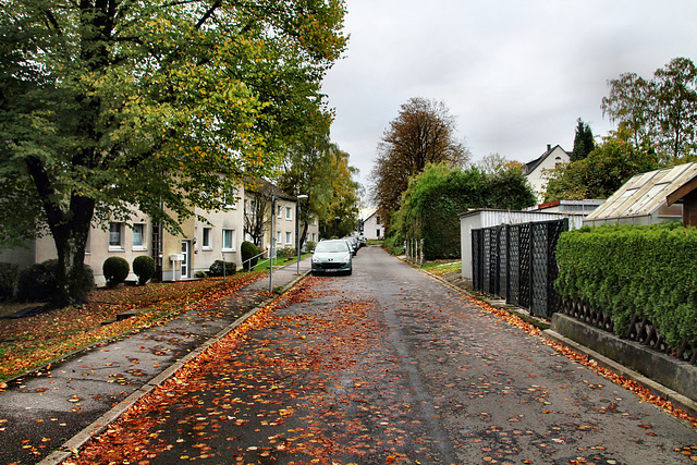 Bringmannstraße (Wülfrath-Rohdenhaus) / 8.10.2017