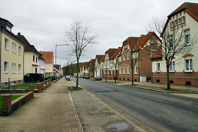 Elsa-Brändström-Straße (Lünen-Brambauer) / 16.03.2019
