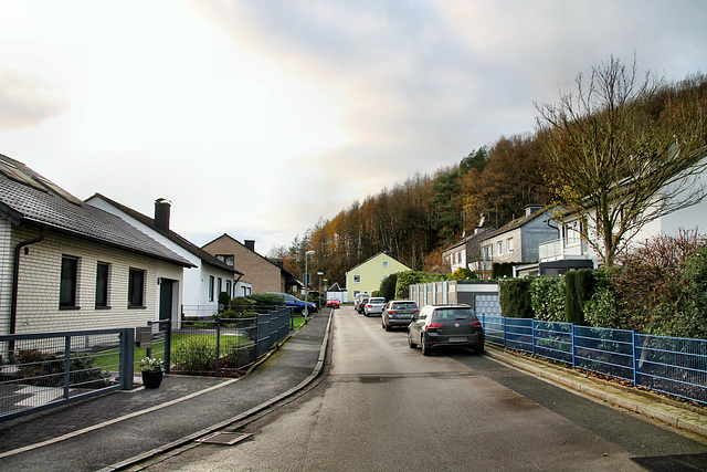 Buchenstraße (Wetter-Albringhausen) / 13.12.2020