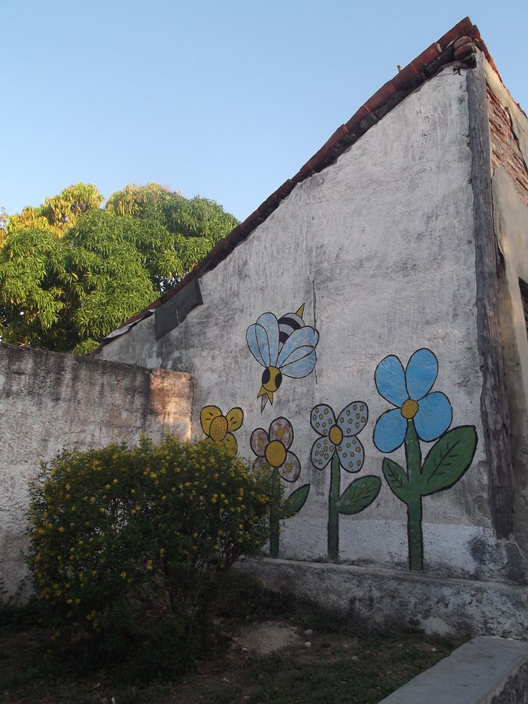 Fleurs et abeille / Flores e abelhas