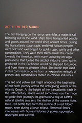 IMG 2327-001-The Red Moon