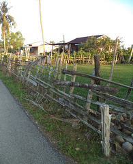 Clôture de bois et barbelés / Wodden fence and barbes wires