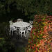 Herbst in Dresden (© Buelipix)