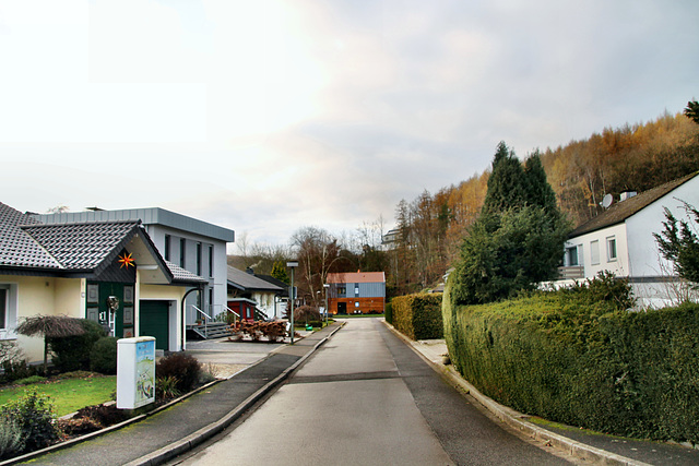 Erlenstraße (Wetter-Albringhausen) / 13.12.2020