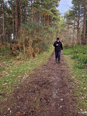 Track to the intake of the Fochabers Canal