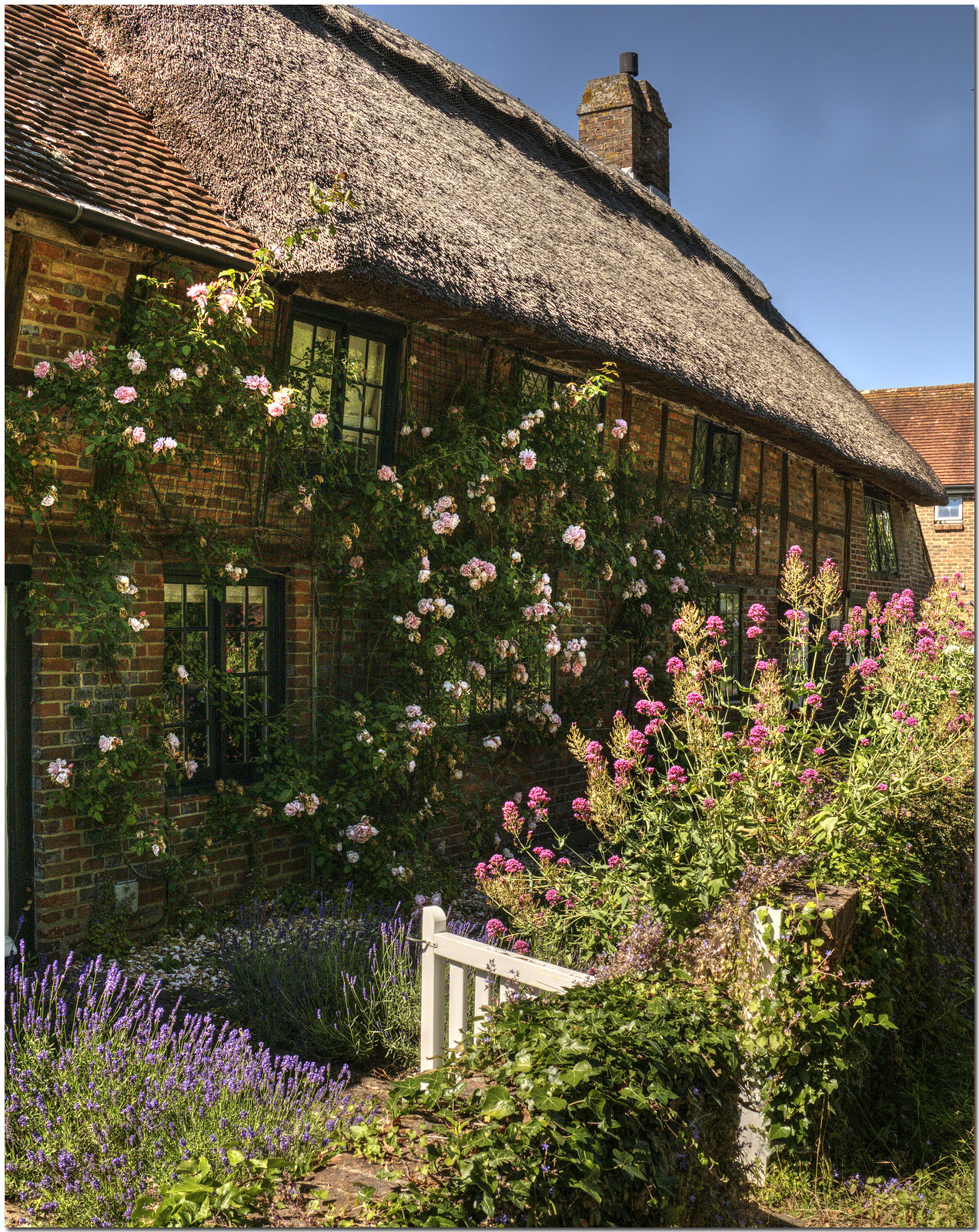 Cottage Garden