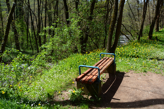 Bulgaria, Blagoevgrad, The Bench in the Park of Bachinovo