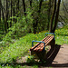 Bulgaria, Blagoevgrad, The Bench in the Park of Bachinovo