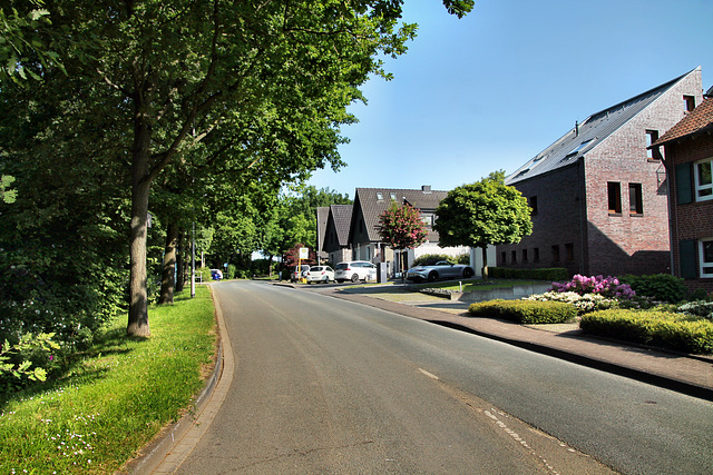 Hardtstraße (Dorsten-Östrich) / 27.05.2023