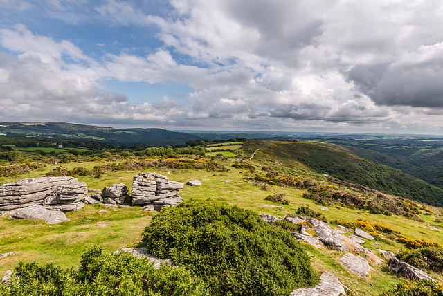 Dartmoor - 20150831