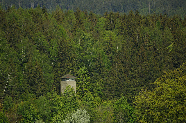 auch grün