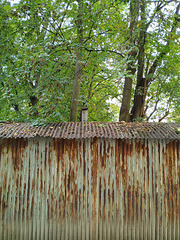 Corrugated Iron Shack