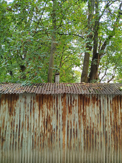 Corrugated Iron Shack