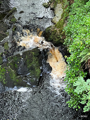 The Scurry Pool