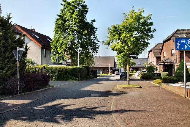 Maria-Lenzen-Ring (Dorsten-Östrich) / 27.05.2023