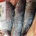 Fish Stall.Grainger Market