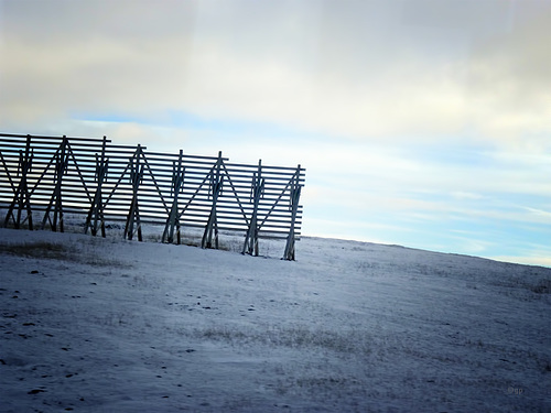 Winter Fence