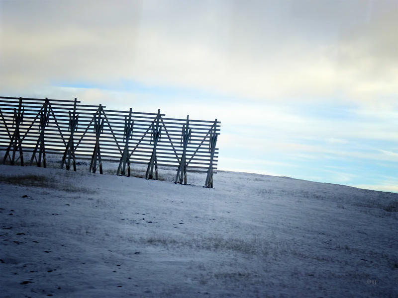 Winter Fence