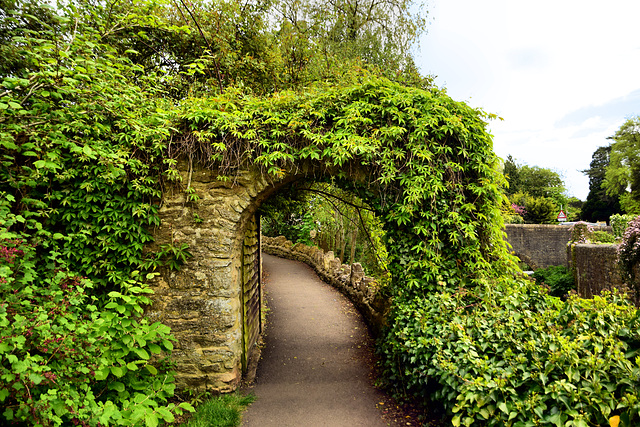 Path along the River Brue