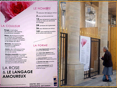 La rose & le langage amoureux