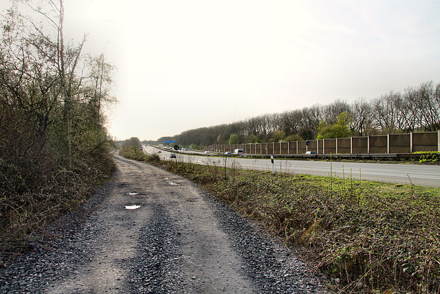 Neben der A42 (Brache Vondern, Oberhausen-Osterfeld) / 8.04.2018