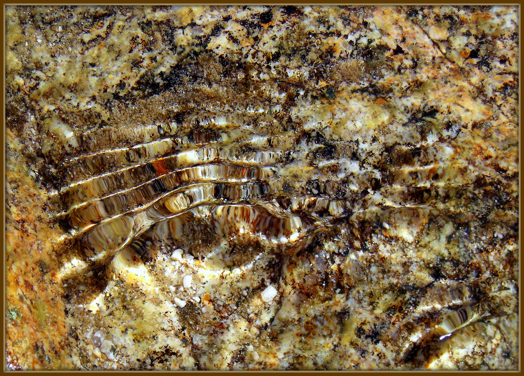 Cold, fresh water babbling over granite