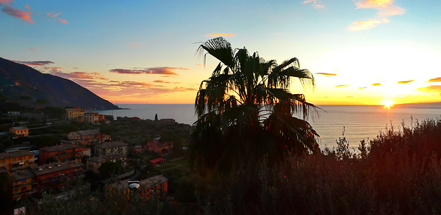 Terrazza con vista!