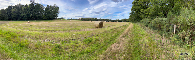 On the Altyre Estate