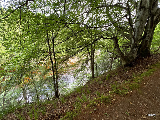 Track by The River Findhorn