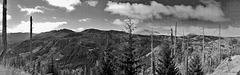 Gebiet um den Mount St. Helens, WA.