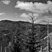 Gebiet um den Mount St. Helens, WA.