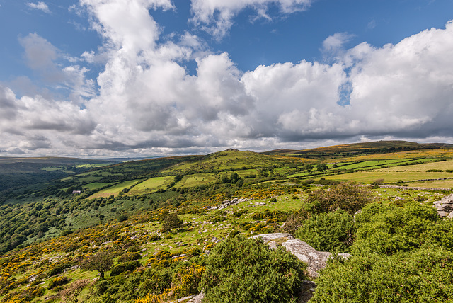 Dartmoor - 20150831