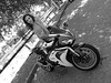 ahfticjun172017 (1047)