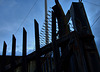 Fences....Light,Bright And Dark