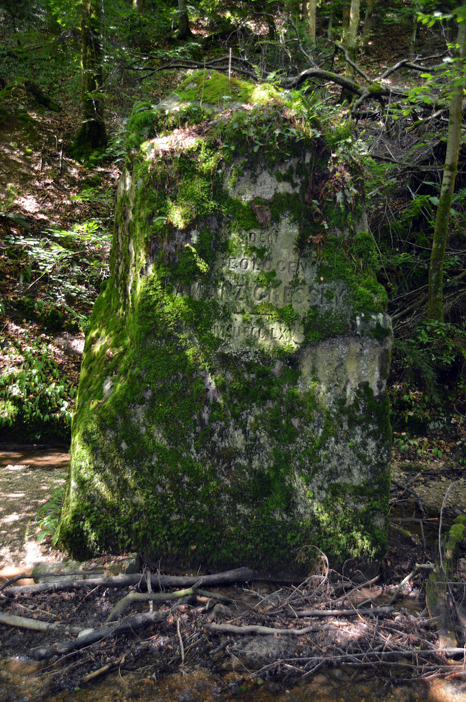 Die Natur ist stärker als Gedenksteine