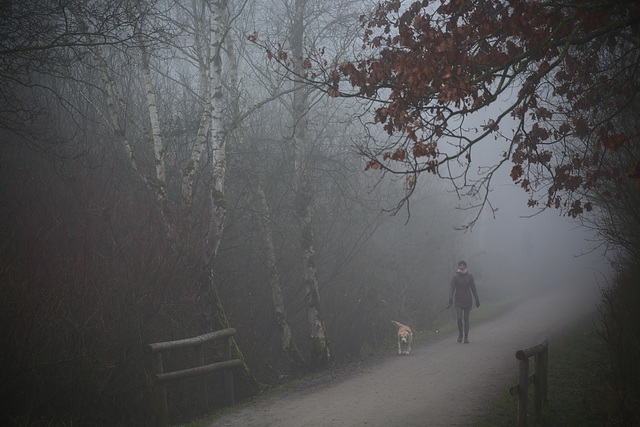 Morgennebelspaziergang