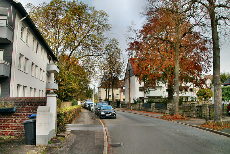 Meesmannstraße (Witten-Herbede) / 6.11.2021