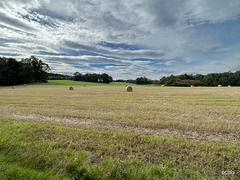 Moray' wide open skies on the Altyre Estate