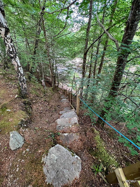 Steps for anglers to reach The River Findhorn