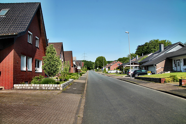 Hardtstraße (Dorsten-Östrich) / 27.05.2023