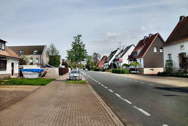 Wehrenboldstraße (Lünen-Altlünen) / 13.04.2024