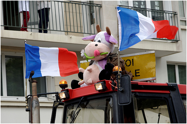 Une vache Femen ?