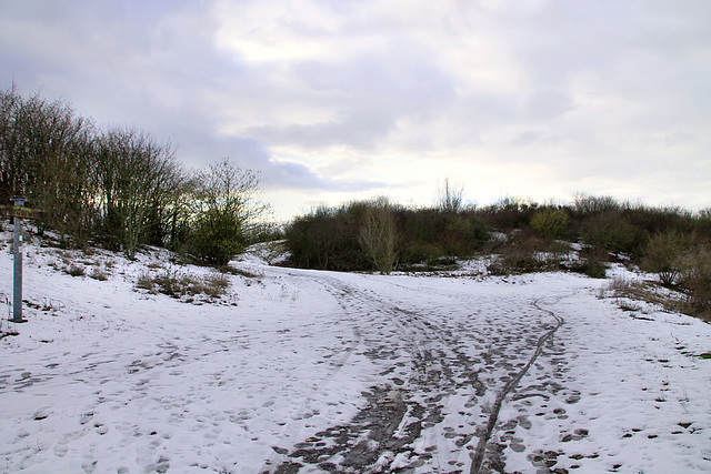 Kissinger Höhe, Hamm-Herringen / 3.02.2019