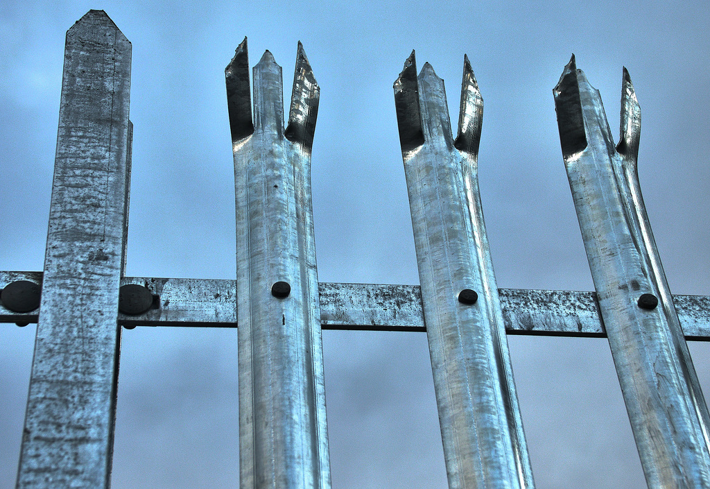 Fences....Light,Bright And Dark