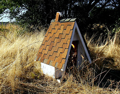 Abandoned tiny home