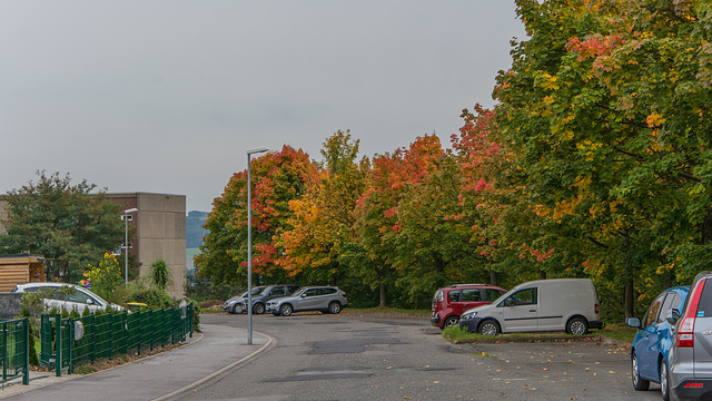 (277/365) ein kühler Sonntag im Herbst