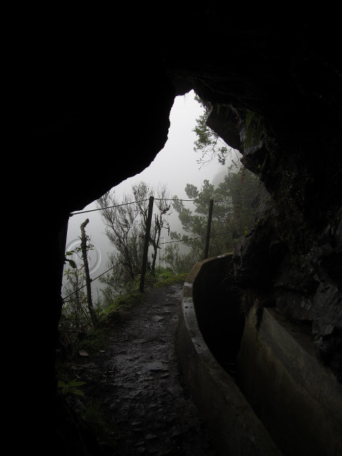 Levada da Portela