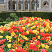 Cathedral and tulips