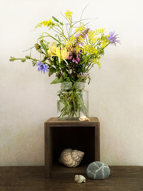 still life with 3 shells 2
