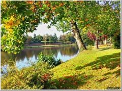 Autumn romance in the park - HBM